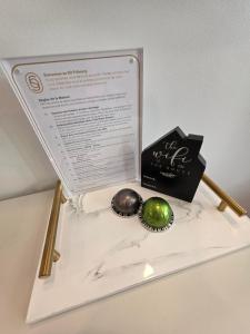 SO Fribourg City Center with Garden !