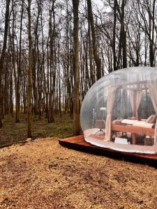 Bubbeltent in bos met hottub, 20m Amsterdam