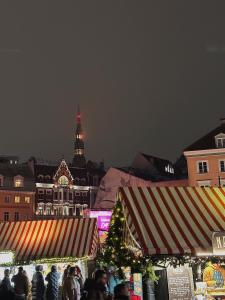 Blue Bird Boutique Hostel - Riga Old Town