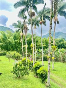 Finca La Carmelita Casa Campestre con Piscina y entre Montañas a sólo minutos de Santa Rosa de Cabal