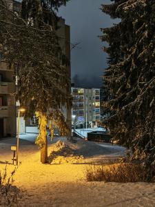 Tievastreet Harmony Apartment