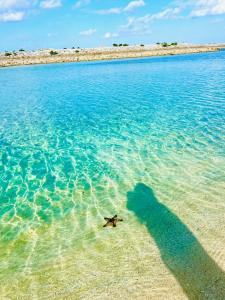 シートピア恩納村Ocean 贅沢快適なデザイナーズ空間と蒼い海