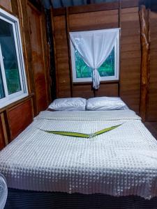 Pepee mini cafe ปีปีมินิ คาเฟ่ &โฮมสเตย์