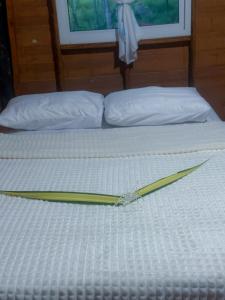 Pepee mini cafe ปีปีมินิ คาเฟ่ &โฮมสเตย์