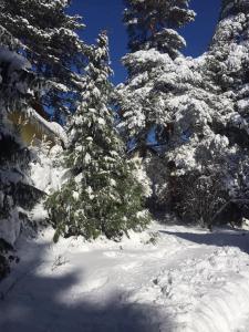 Planinska kucica Srce