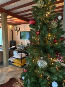 La Clairiere - Erezee- 3 bedroom chalet