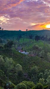 Mad & Nomad Backpackers Hostel