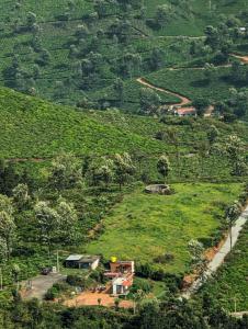 Mad & Nomad Backpackers Hostel