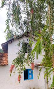 Mad & Nomad Backpackers Hostel