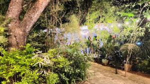 Heaven in Satinwoods