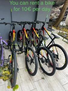 Central Apartments with Patio Close to Sea