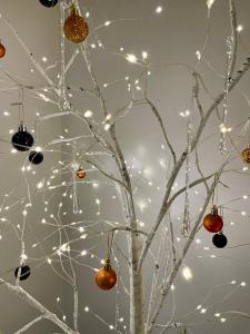 Eastbourne Long Beach View Sovereign Harbour Exceptional Apartment