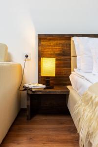 Vacation Apartment in Starosel POOL & SPA