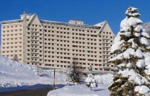 Monolocale residence Paradiso Aremogna