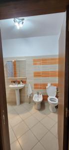Apartament Polivalenta