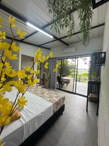 Cabañas Flor Del Monte