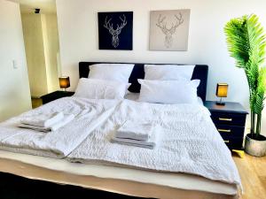 EDEN - Penthouse-Loft über den Dächern Kaufbeurens