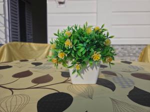 Jhalong Hornbill Homestay