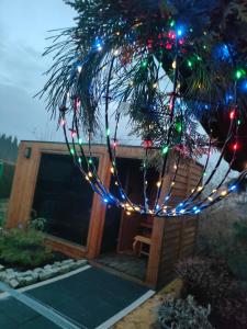 Domki Na Winnicy Zator Przeciszów