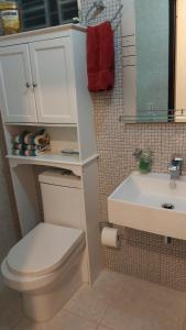 This beautiful apt you can have a nice vacation