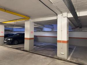 Iris Green Loft - free private parking