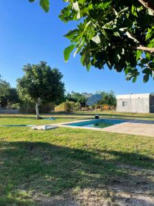 Plumas verde, casa campo