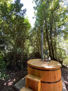 Cabañas Punucabaña