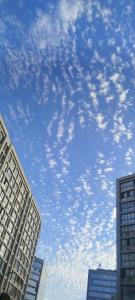 STUDIO Fakhr - Luxury apartment in Cairo