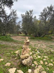 Ayvalik İnfinity Yaşam Vadisi