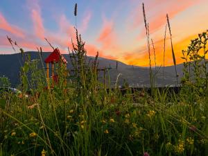 Садиба Кичера Gold