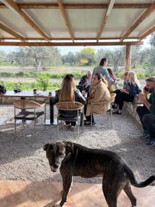 Ayvalik İnfinity Yaşam Vadisi