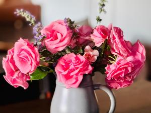 Résidence La Rose du Le Ours, 2 Zimmer Idyll am See