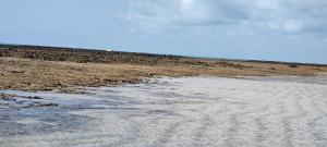 Casa Auati - Villa Naluri - Apartamento com Vista Mar