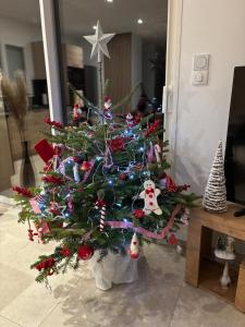 Le Nid des Moises, pavillon neuf