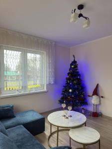 Przystań Podróżnika