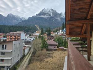 Pensiunea Valea Alba