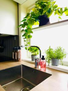 KB Storhaugen House - Sørvågen