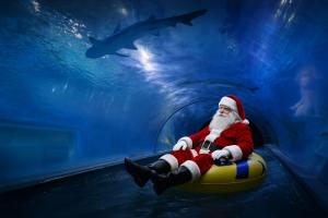 Leśna Przystań Rumia - obok Gdyni i Aquaparku Reda