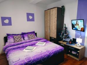 Apartman Aleksandra Zlatibor Zlatiborski Andjeo