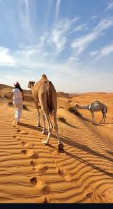 Aman dome desert