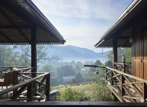 Camelliana Horizon Pongyang