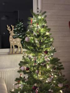 Srdeční záležitost Boží Dar