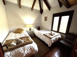 Villa Trompetilla & Casa Cactus