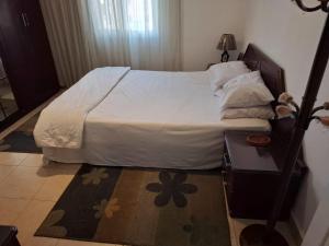 Lasfars Dreamland City Apartments