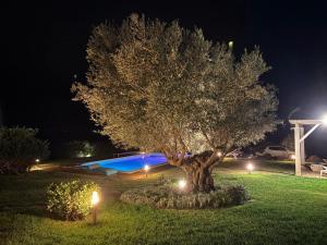 Villa Dama luxury img81