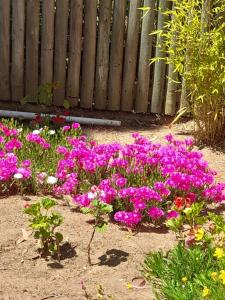 Departamento en el Tabo