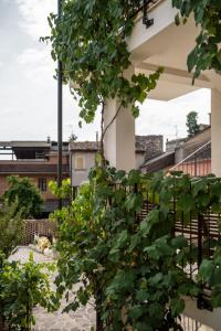 Borgo del Piano "Alloggio Emilia"