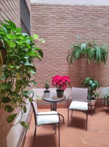 Casa AFAN