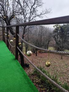 UNDER THE GREEN ROOF