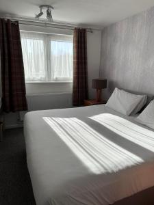 Lovely One Bedroom Apartment in Stratford